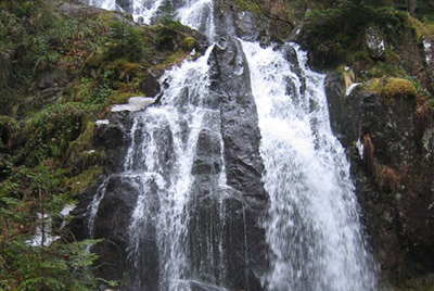 La cascade de Tendon