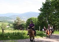 Promenade à cheval en montagne 